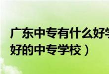 广东中专有什么好学校吗?（2022广东有哪些好的中专学校）