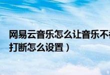 网易云音乐怎么让音乐不被打断（网易云音乐不被其它应用打断怎么设置）