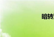 暗转双语例句