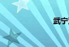 武宁双语例句