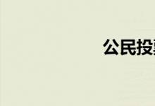 公民投票双语例句
