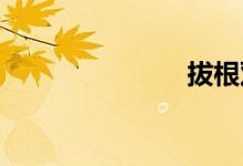 拔根双语例句