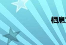 栖息双语例句
