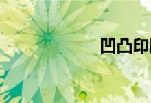 凹凸印刷双语例句