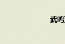 武鸣双语例句