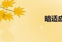 暗适应双语例句