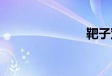 靶子双语例句