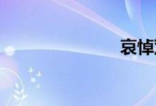 哀悼双语例句