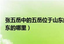张五岳中的五岳位于山东的哪里（三山五岳中的五岳位于山东的哪里）