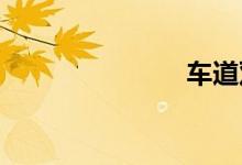 车道双语例句