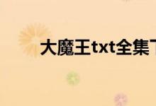 大魔王txt全集下载的搜索数据展示
