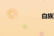 白族双语例句