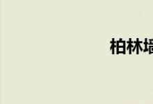 柏林墙双语例句