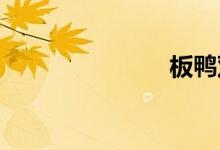 板鸭双语例句