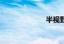 半视野双语例句