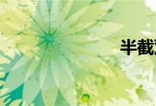 半截双语例句