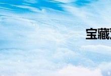 宝藏双语例句