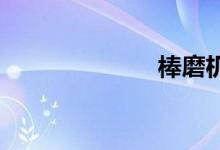 棒磨机双语例句