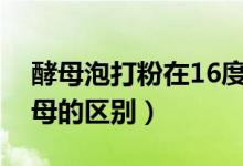 酵母泡打粉在16度可以发好吗（泡打粉和酵母的区别）