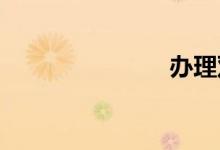 办理双语例句