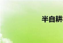半自耕农双语例句