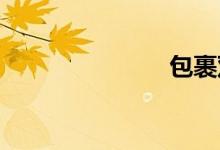 包裹双语例句