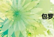 包罗双语例句