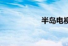半岛电视台双语例句