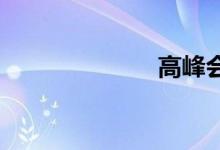 高峰会双语例句