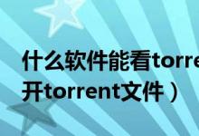 什么软件能看torrent格式（手机迅雷怎么打开torrent文件）