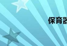 保育器双语例句