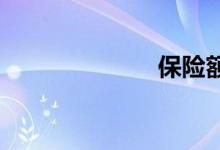 保险额双语例句