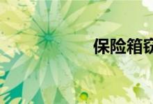 保险箱窃贼双语例句