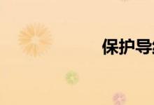 保护导线双语例句