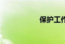 保护工作表双语例句