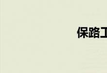 保路工双语例句