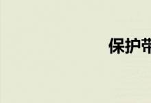 保护带双语例句