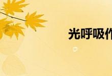 光呼吸作用双语例句
