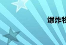 爆炸物双语例句