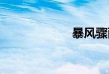 暴风骤雨双语例句