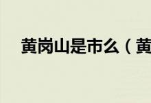 黄岗山是市么（黄岗山是哪个省的城市）