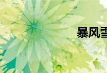 暴风雪双语例句