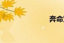 奔命双语例句