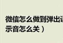 微信怎么做到弹出语音通话（微信语音通话提示音怎么关）