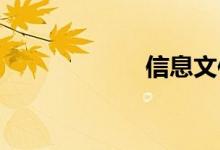 信息文件双语例句