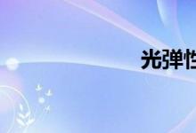 光弹性双语例句