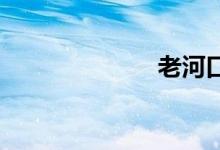 老河口双语例句