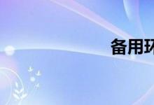 备用环双语例句