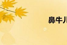 鼻牛儿双语例句