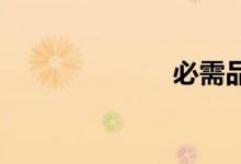 必需品双语例句